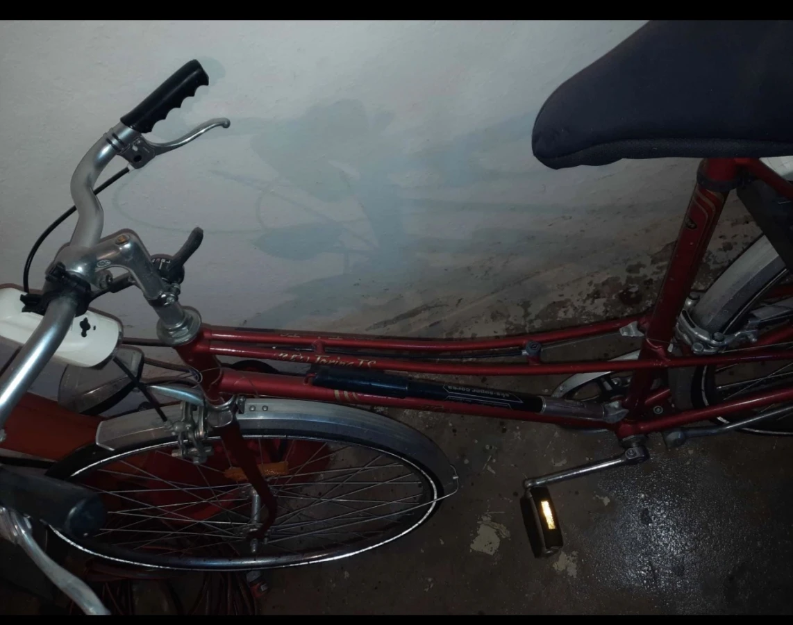 Bicicleta pentru femei - 2