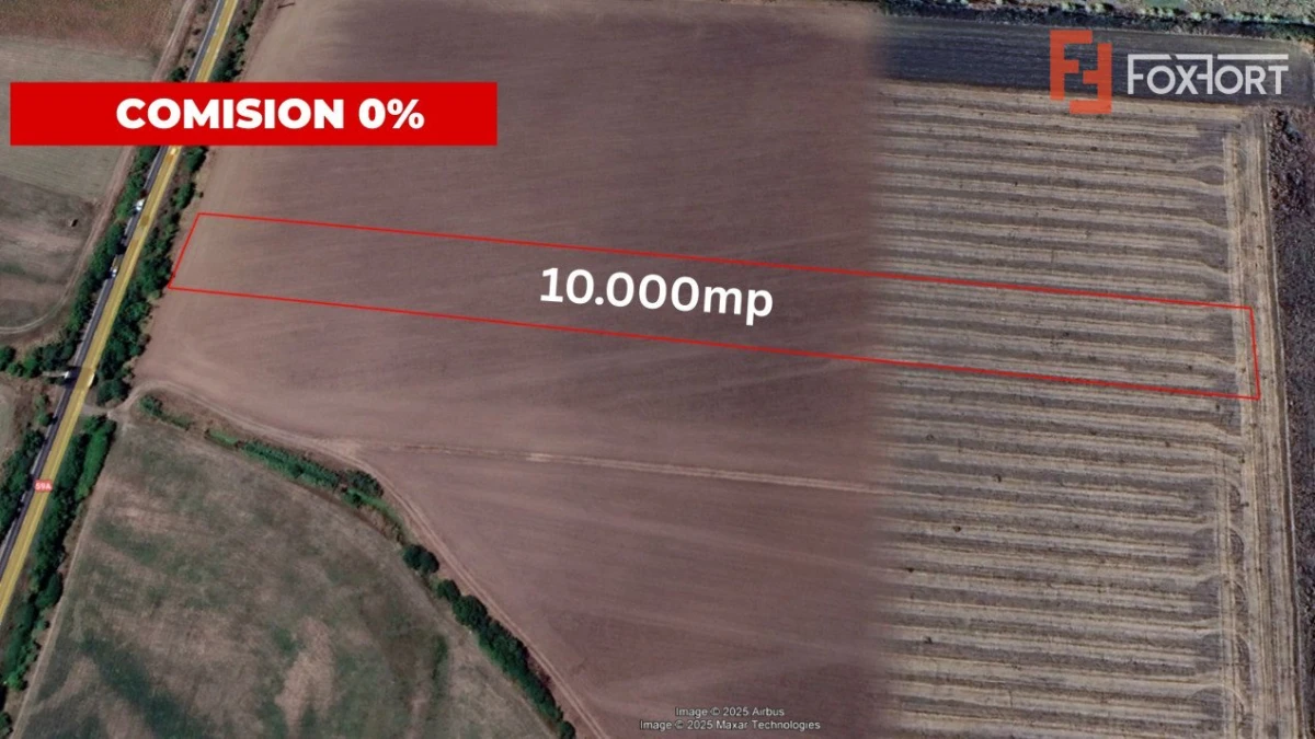 COMISION 0% Teren extravilan agricol 1 ha, Beregsau Mare - Pozitionare excelenta - 2