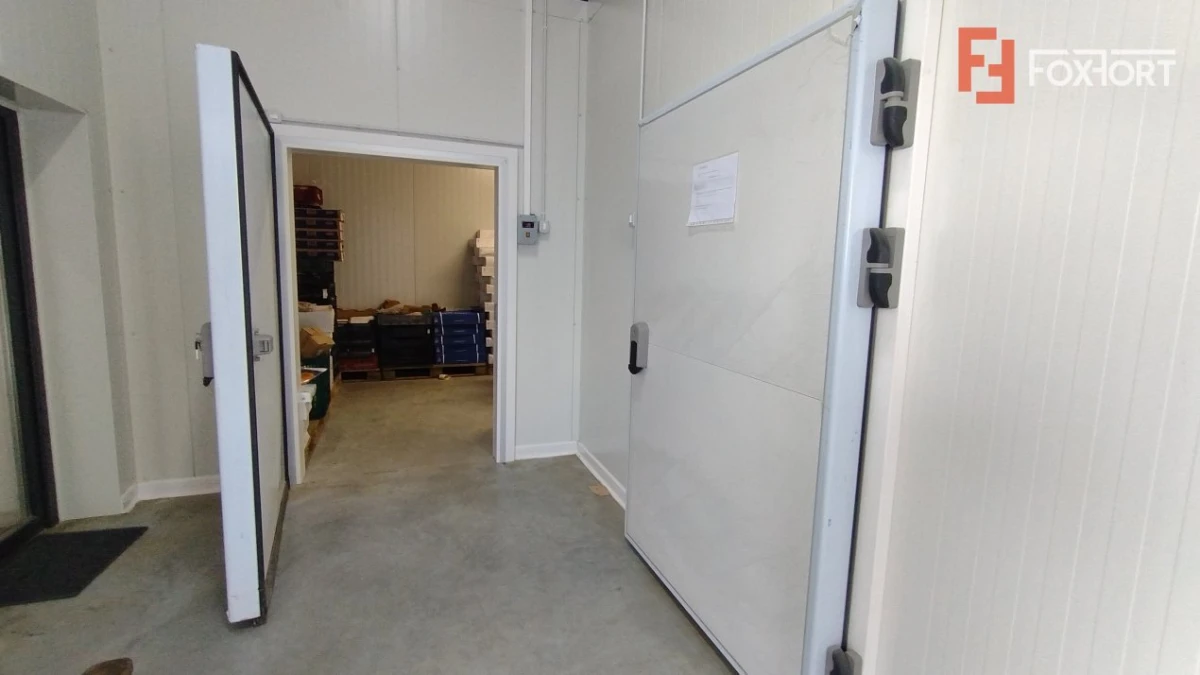 Inchiriere spatiu depozitare produse alimentare, Sacalaz - 10