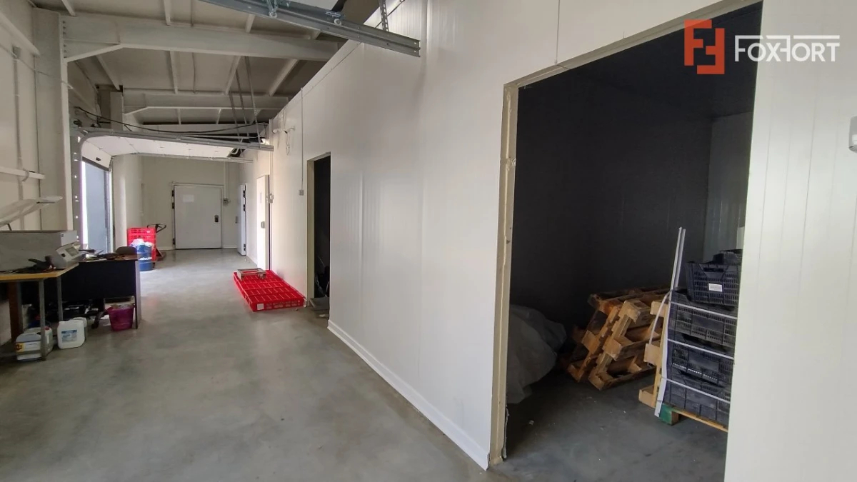 Inchiriere spatiu depozitare produse alimentare, Sacalaz - 6