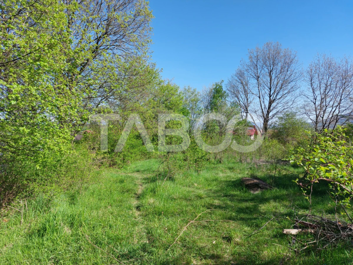 Teren 3445 mp pentru persoanele care doresc casa cu teren generos - 6