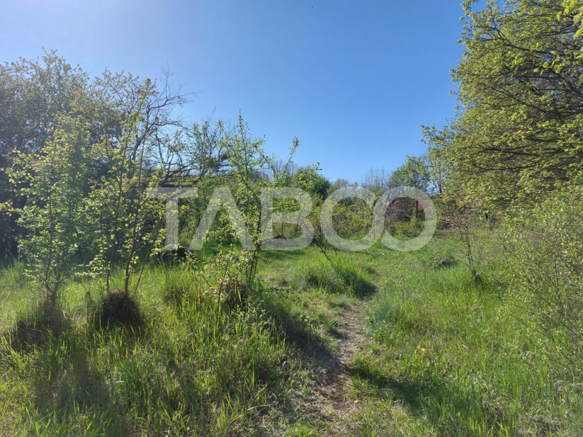 Teren 3445 mp pentru persoanele care doresc casa cu teren generos - 5