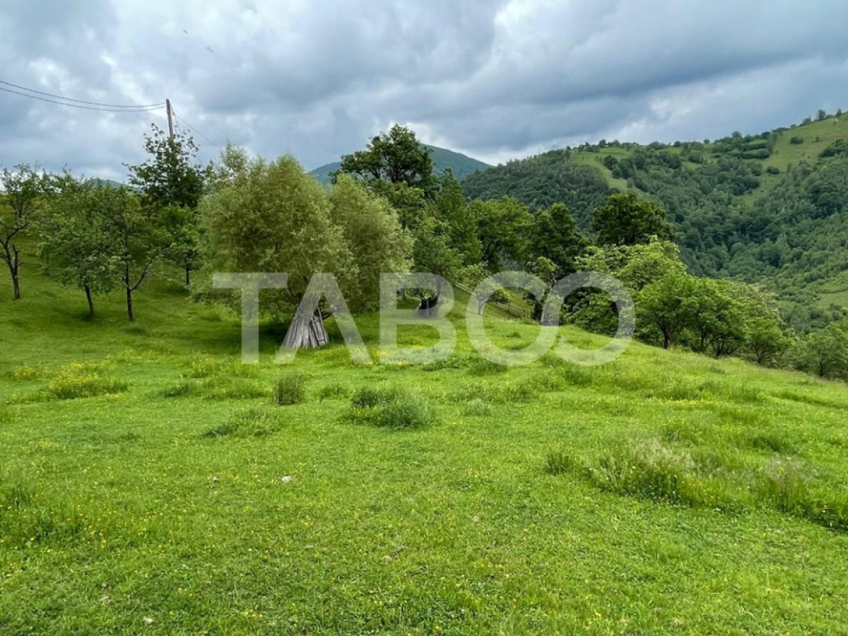Teren intravilan de vanzare in Martinia de sus - 4