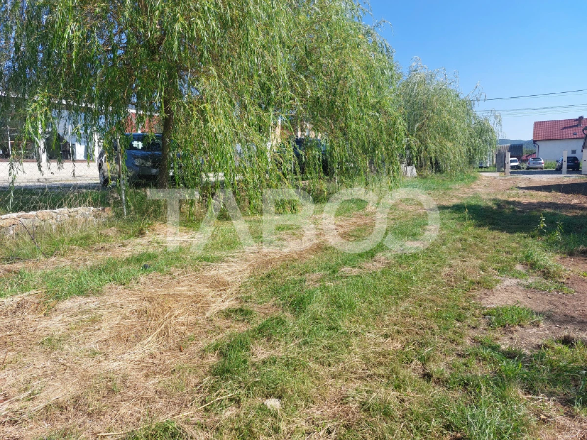 Teren intravilan 812 mp PUZ aprobat utilitati pe teren Talmaciu - 1