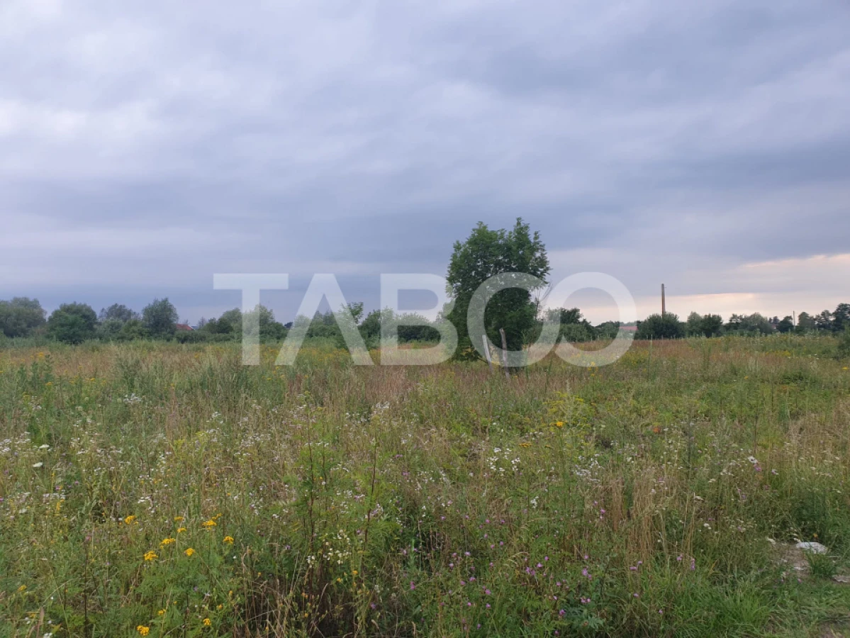 Teren intravilan 5040 mp in Sercaia acces DN1 168 m - 3