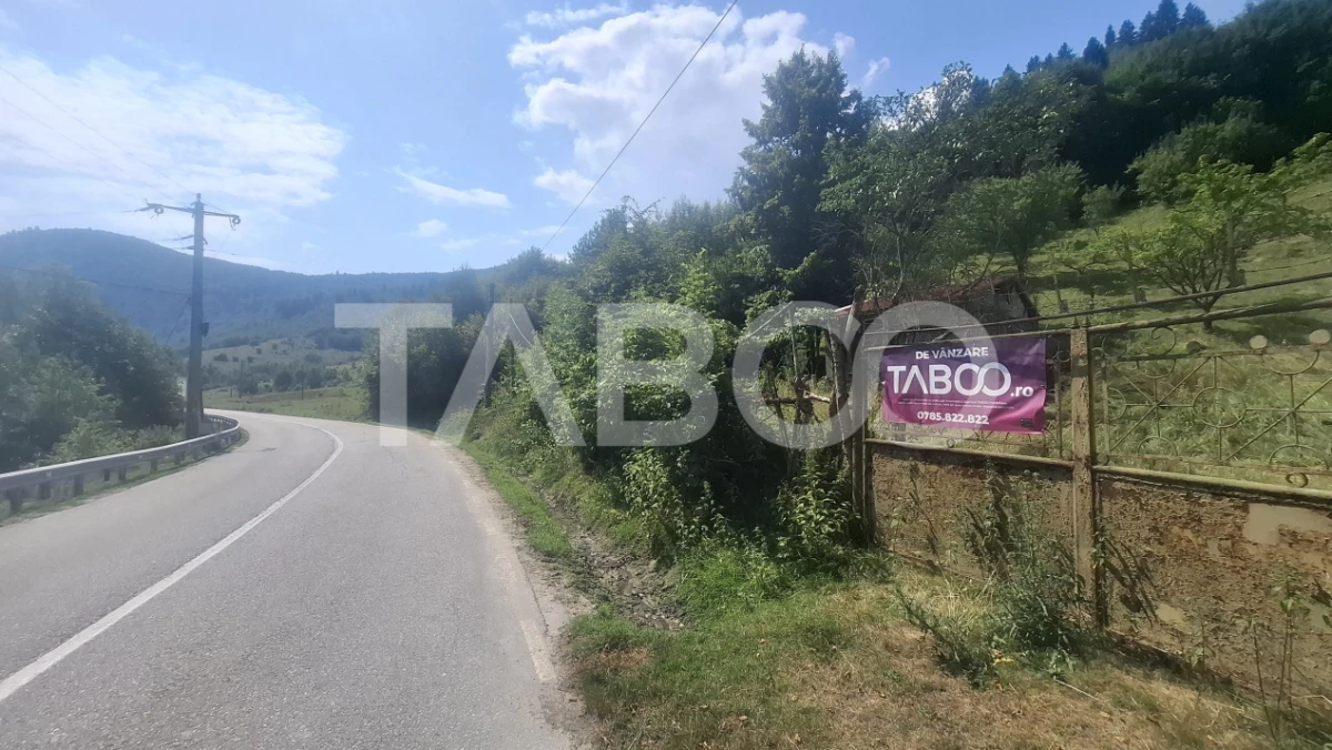 Teren 2500 mp Curmatura Rasinari 40 m deschidere la drum asfaltat - 6