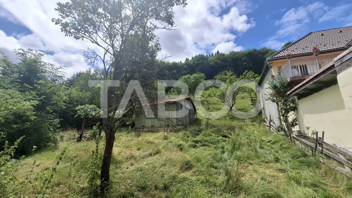 Teren 2500 mp Curmatura Rasinari 40 m deschidere la drum asfaltat - 5