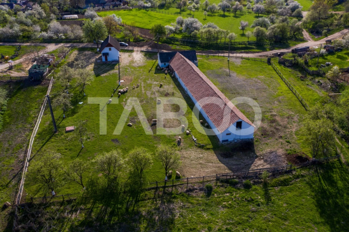 Microferma cu locuinta de vanzare in Pianu de sus - 1