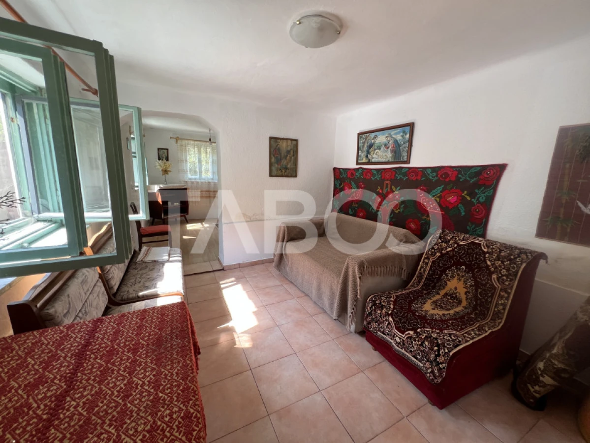 Casa de vanzare 4 camere 2 bai 1162 mp de curte si gradina in Toderita - 7