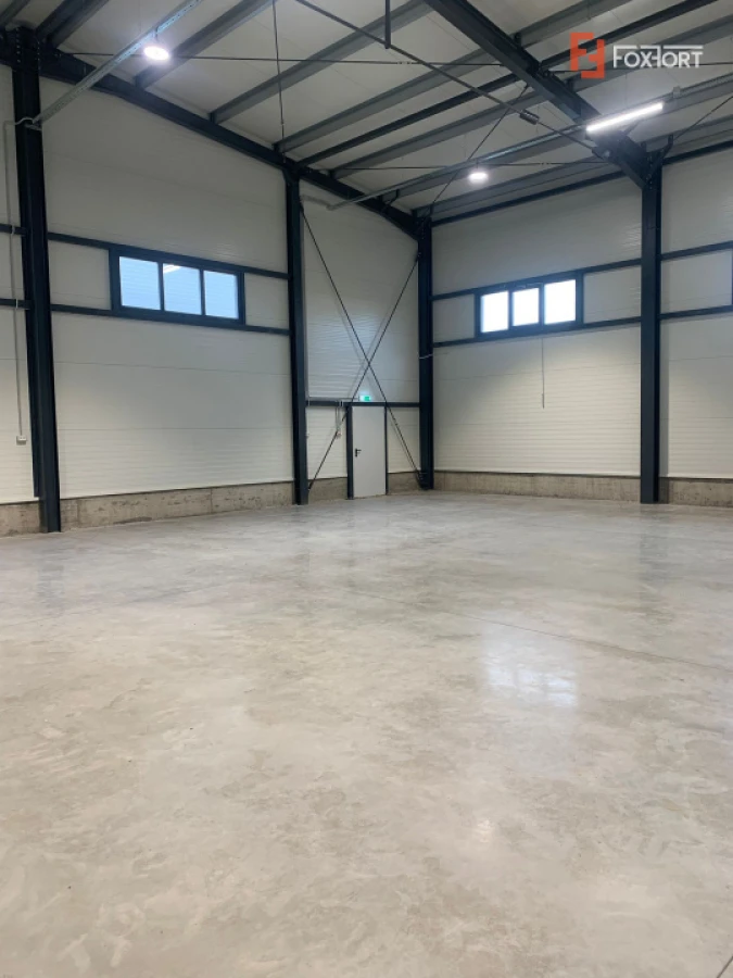 Hala industriala 364 mp + birouri de 60 mp - Giarmata Vii - 3