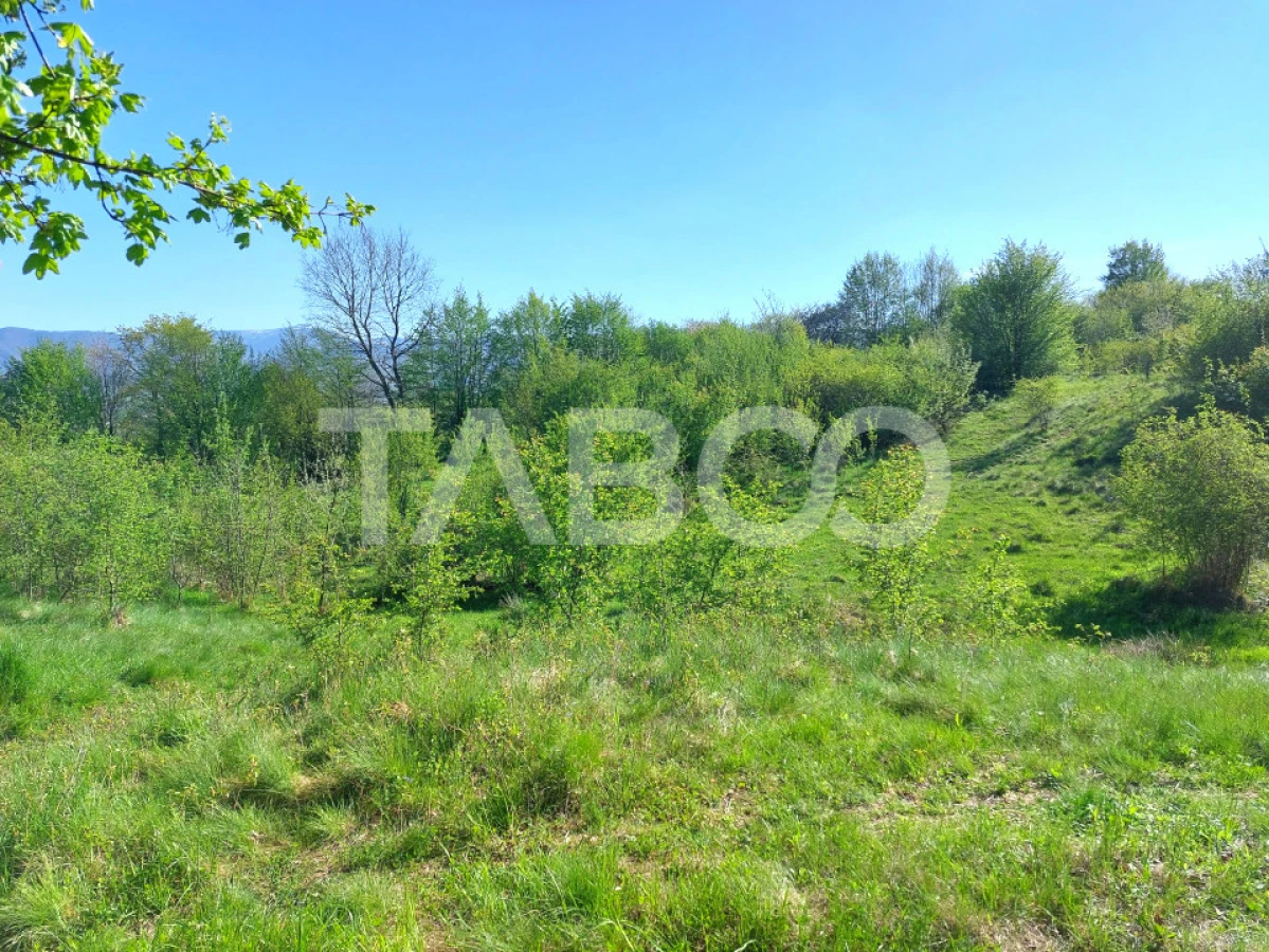 Teren intravilan 4280 mp acces la drum si utilitati zona deosebita - 10