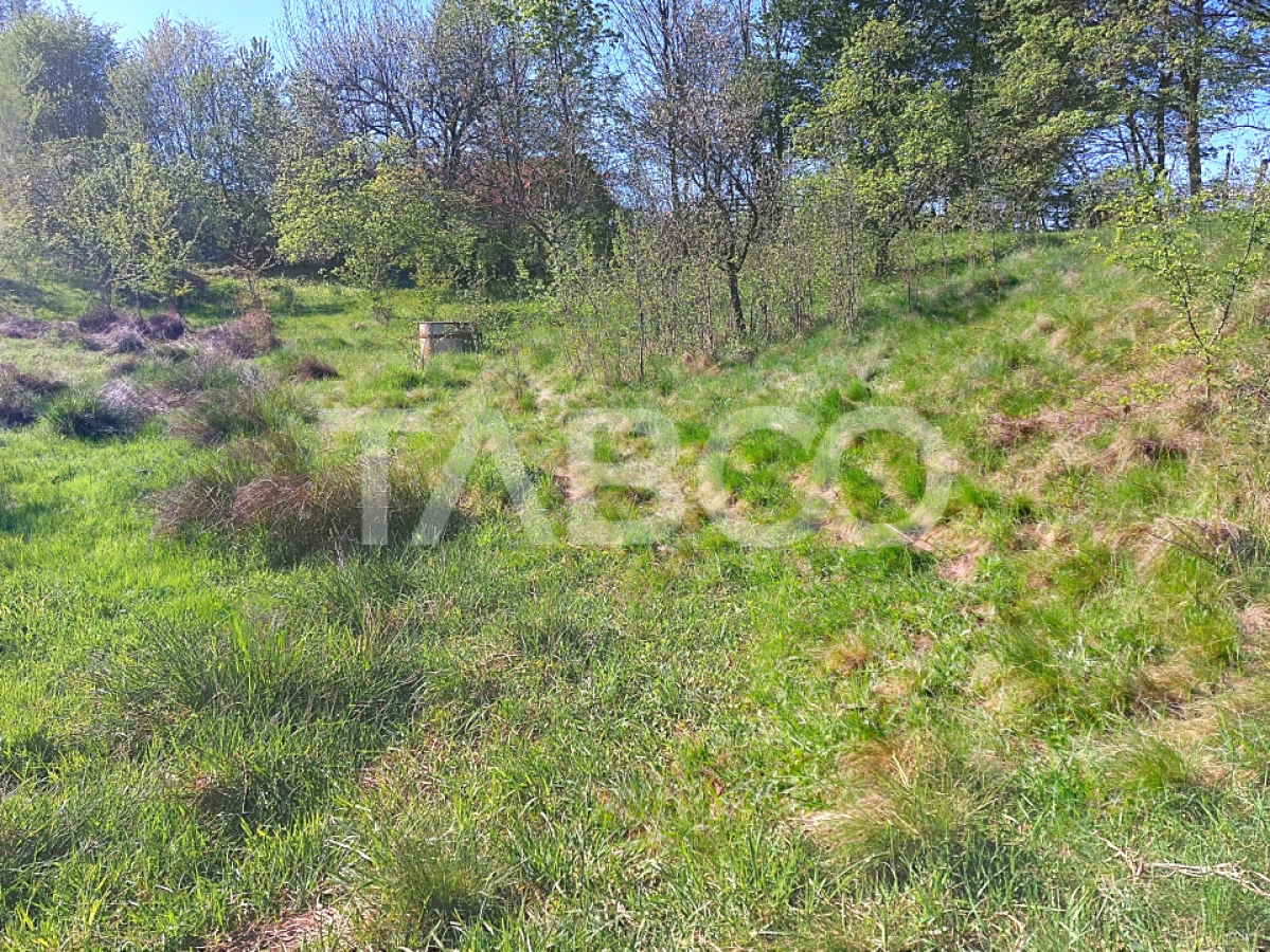 Teren intravilan 4280 mp acces la drum si utilitati zona deosebita - 8