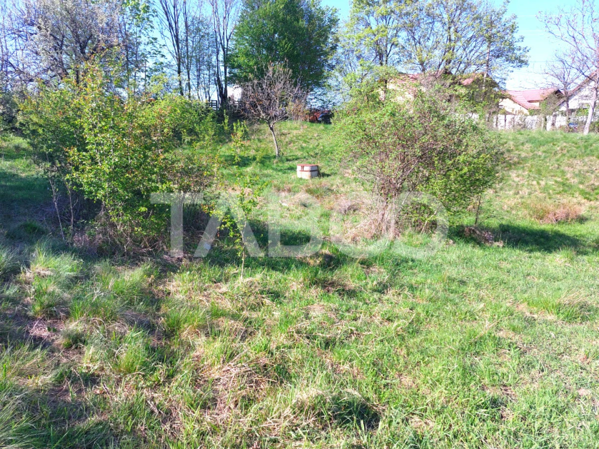 Teren intravilan 4280 mp acces la drum si utilitati zona deosebita - 2