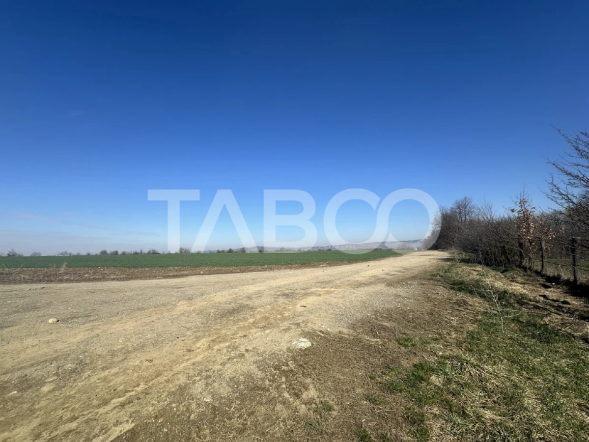 Teren intravilan 2000 mp cu utilitati in apropiere Comuna Dragus - 4