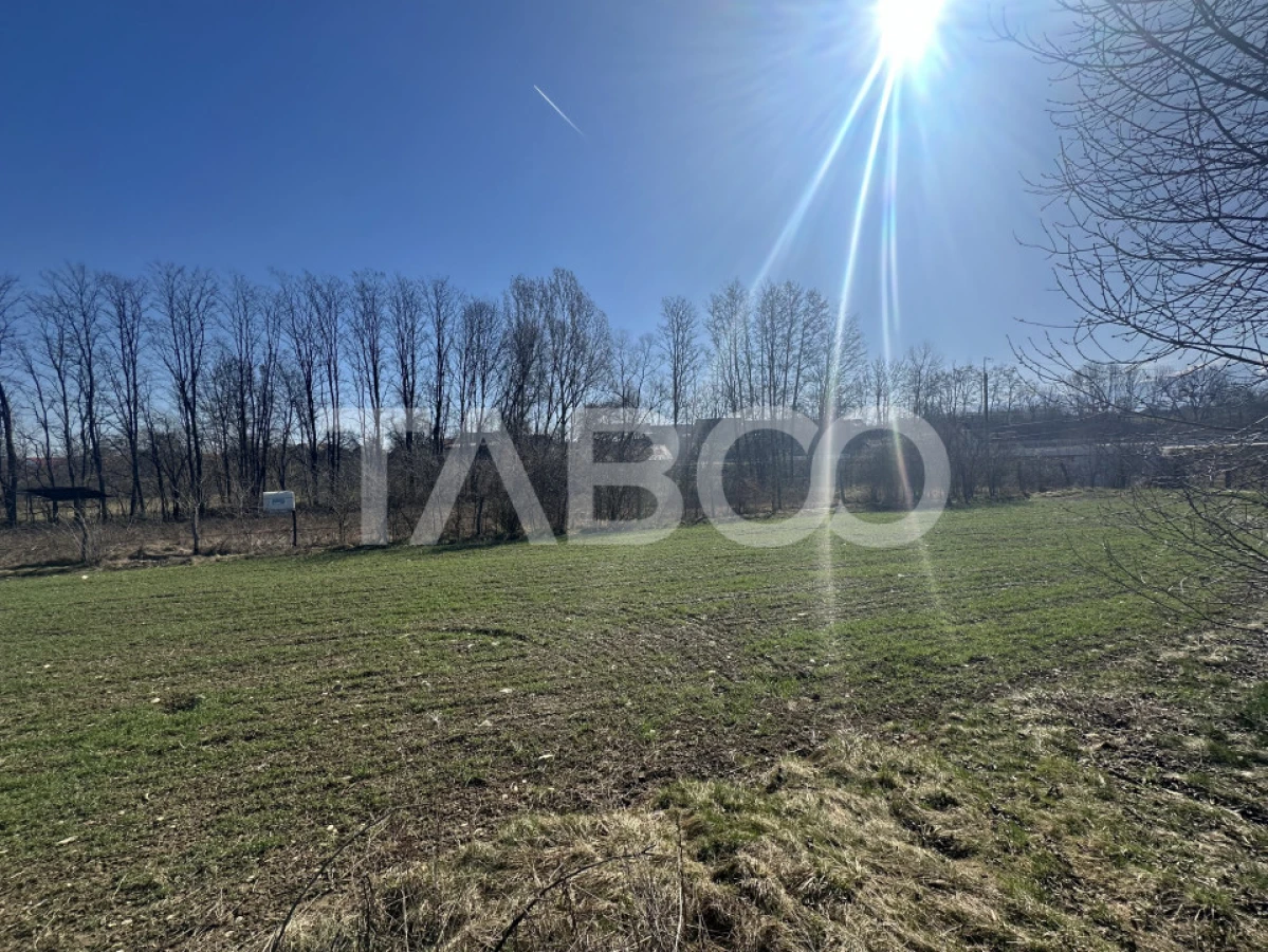 Teren intravilan 2000 mp cu utilitati in apropiere Comuna Dragus - 2