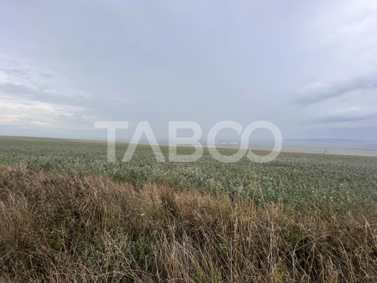 Teren de vanzare extravilan 30000 mp 60 ml deschidere Sura Mare Sibiu - 4