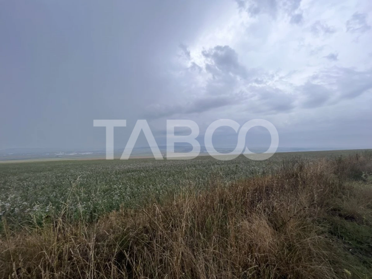 Teren de vanzare extravilan 30000 mp 60 ml deschidere Sura Mare Sibiu - 1