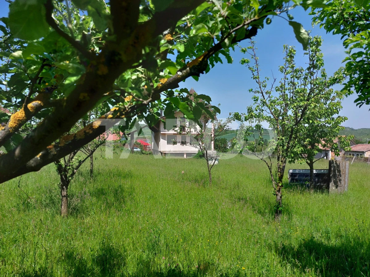 Casa deosebita 5 camere cu teren 2000 mp Sura Mare Hamba Sibiu - 4