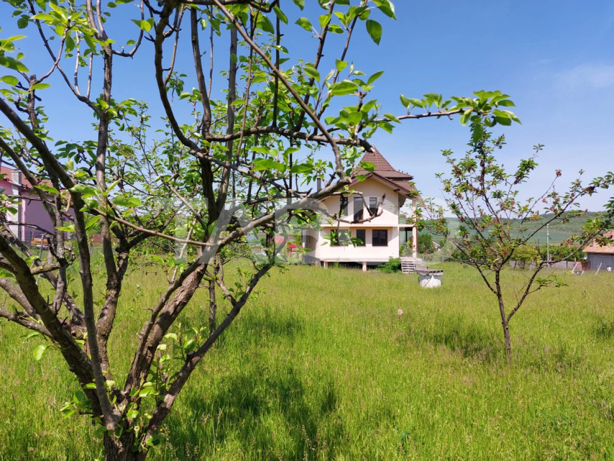 Casa deosebita 5 camere cu teren 2000 mp Sura Mare Hamba Sibiu - 3