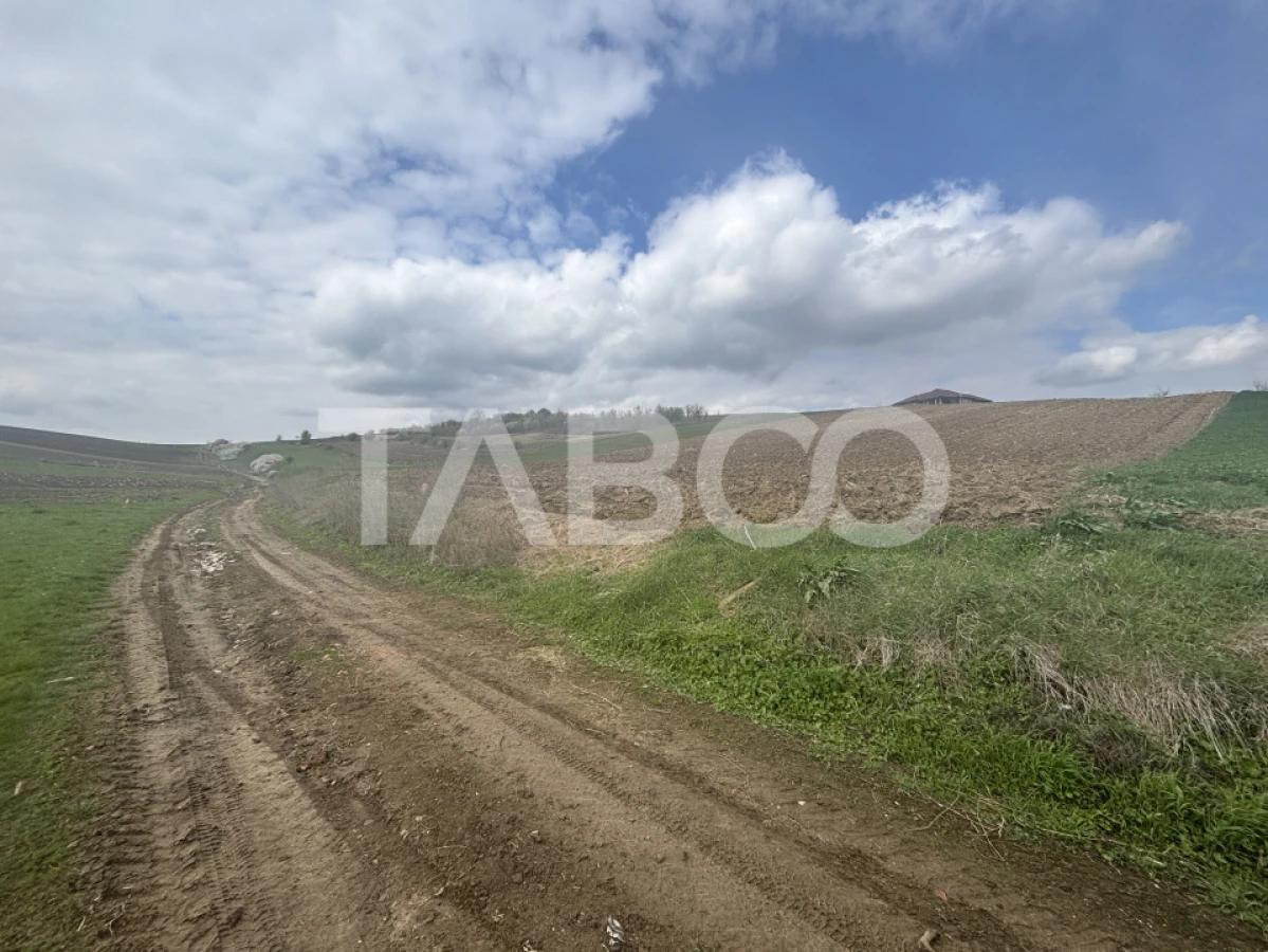 Teren intravilan 4600mp cu deschidere la drum 37ml in Sura Mare Sibiu - 3
