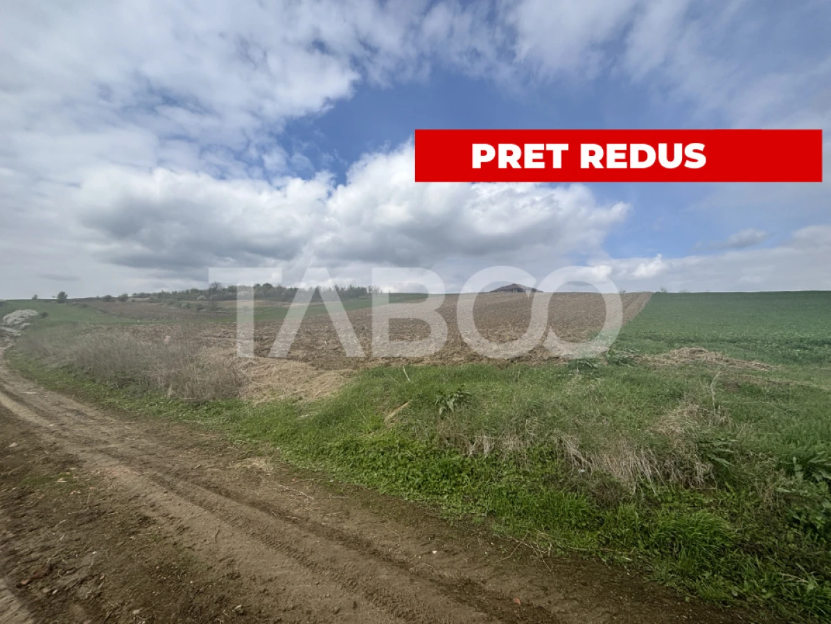 Teren intravilan 4600mp cu deschidere la drum 37ml in Sura Mare Sibiu - 1
