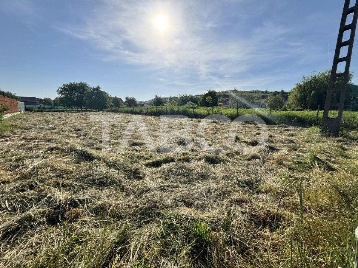 Teren de vanzare 1030mp 17ml front stradal Sura Mare - 1