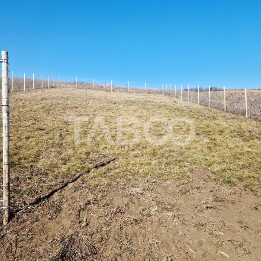 Teren de vanzare intravilan cu utilitati 508 mp Sura Mare - 1