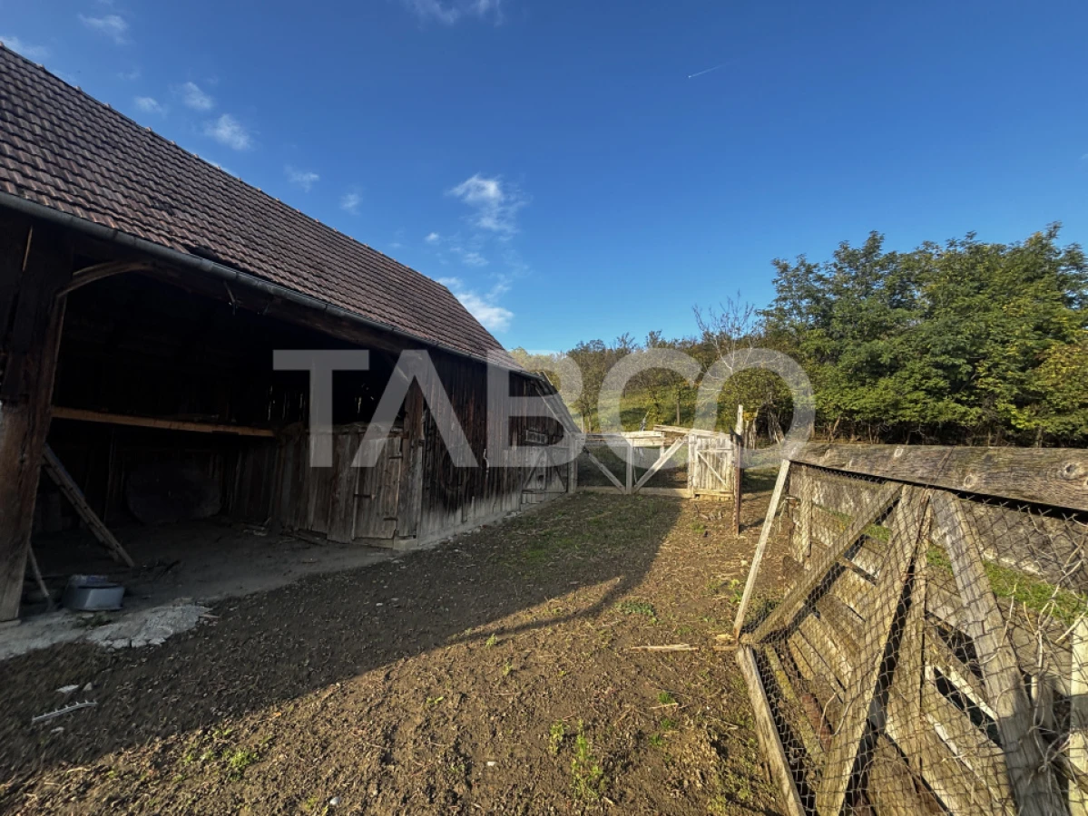 Exclusivitate comision 0% casa cu sura si anexe teren 3700 mp Alamor - 9