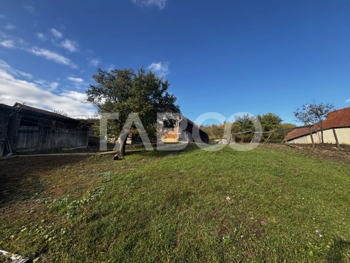 Exclusivitate comision 0% casa cu sura si anexe teren 3700 mp Alamor - 7