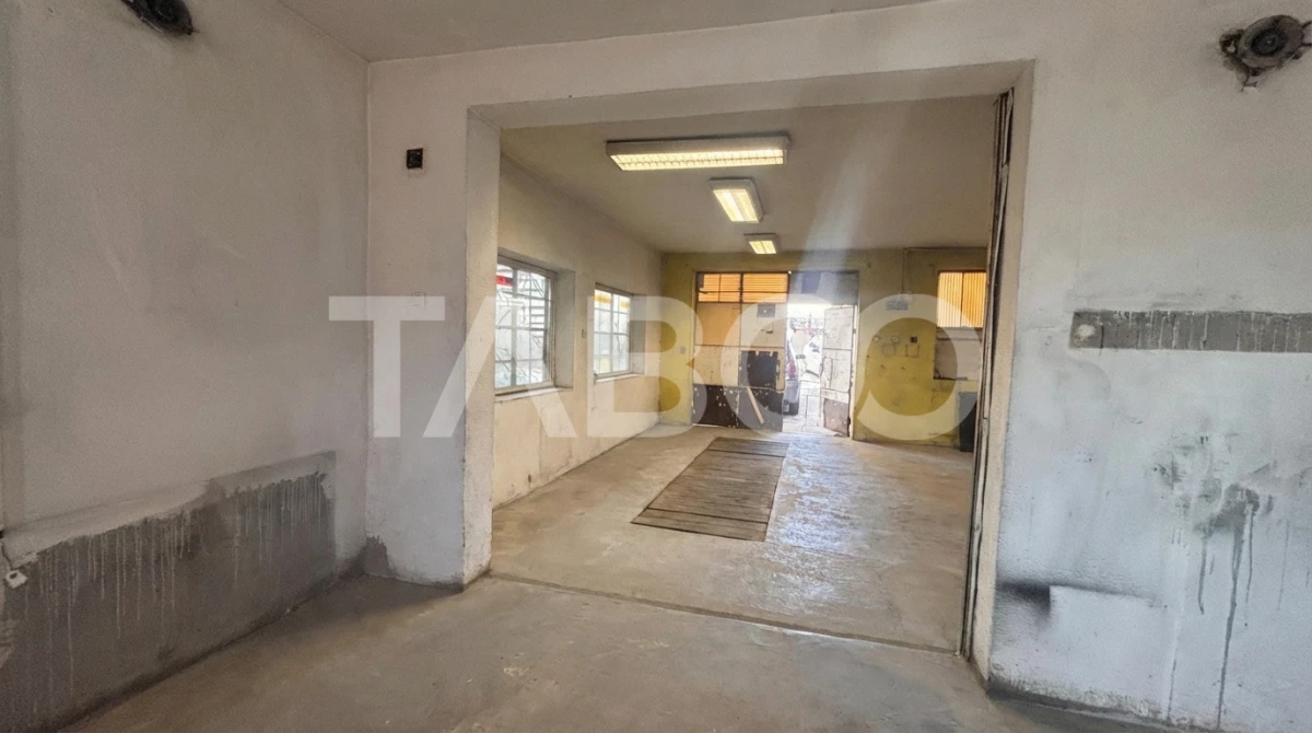 Casa individuala de vanzare Sura Mare zona deosebita - 5