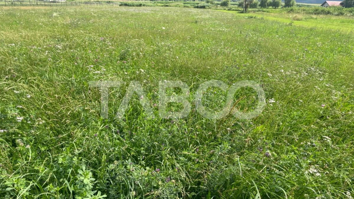 Teren intravilan 3450 mp Boita, 35 m deschidere, la 700 m de A1 - 1