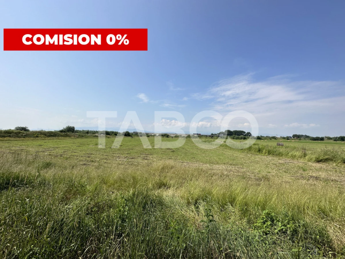 Teren intravilan 6000 mp deschidere 24,5 m utilitati in zona - 2