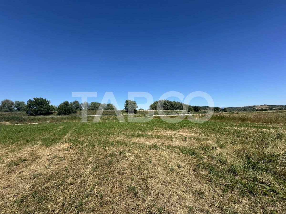 Comision 0% Teren intravilan 2000 mp cu utilitati zona Oltului Fagaras - 5