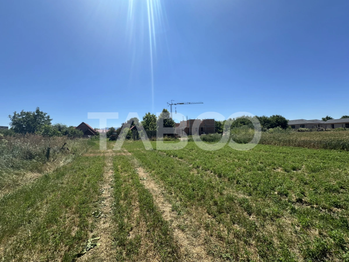 Comision 0% Teren intravilan 2000 mp cu utilitati zona Oltului Fagaras - 3