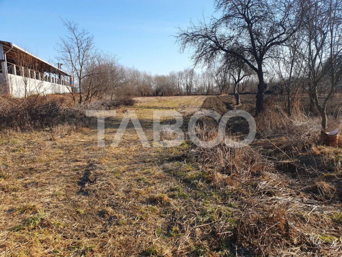 Teren intravilan 3600 mp doua fronturi stradale in Voila - 2