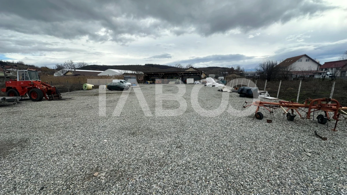 Teren de inchiriat 2000mp acces direct din drum asfaltat Viile Sibiulu - 4
