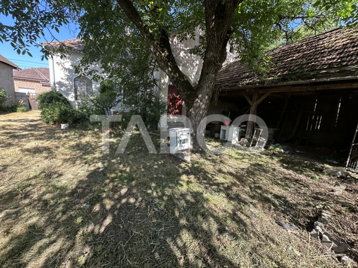 Casa cu potential de investitie in centrul satului 1540 mp teren - 6