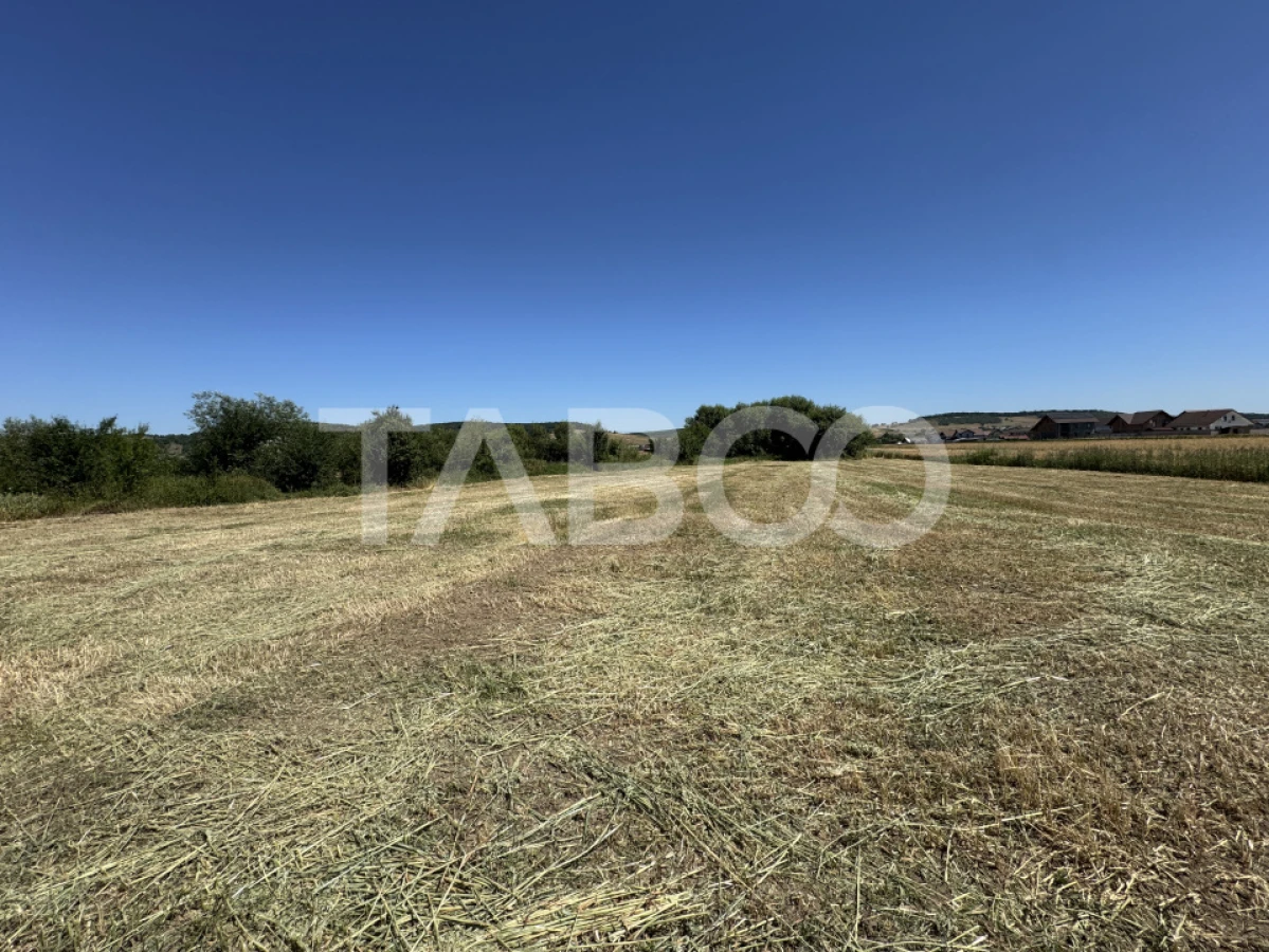 Teren intravilan 3752 mp parcelabil zona fostelor sere Cristian Sibiu - 5