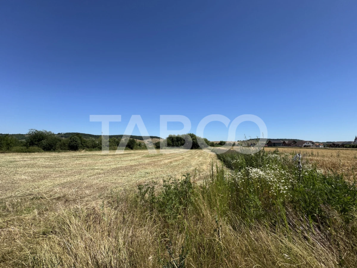 Teren intravilan 3752 mp parcelabil zona fostelor sere Cristian Sibiu - 3