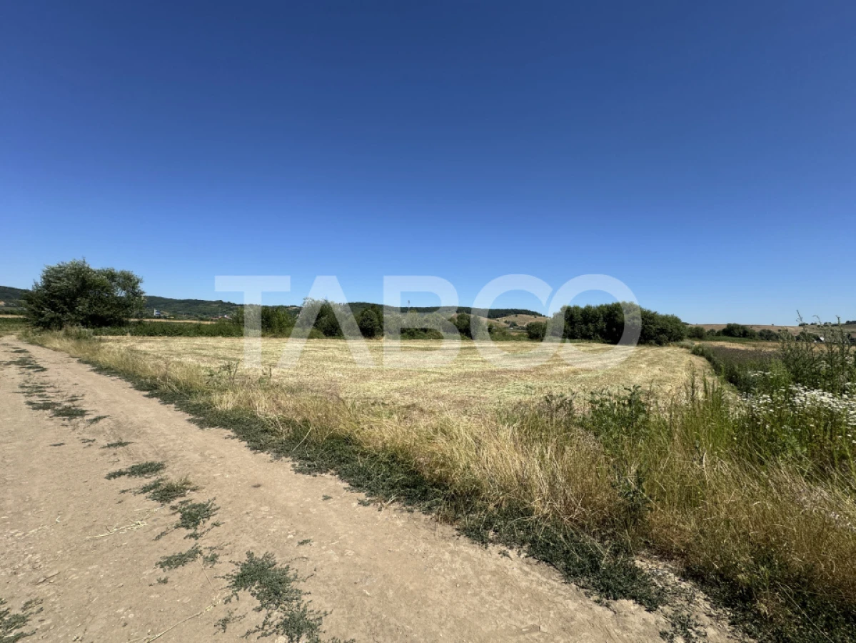 Teren intravilan 3752 mp parcelabil zona fostelor sere Cristian Sibiu - 2