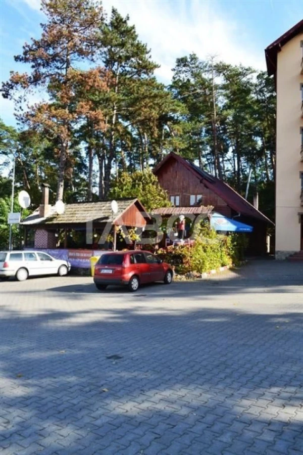 Pensiune de vanzare in Talmaciu judetul Sibiu renovata cu 26 camere - 4