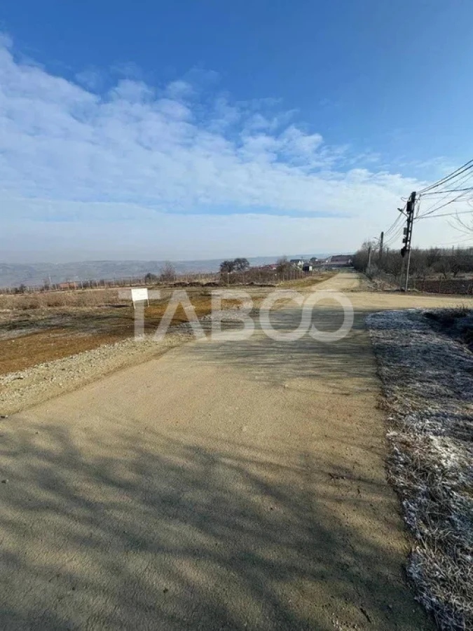 Teren intravilan in Daia Noua gata de construit casa - drum asfaltat - 2