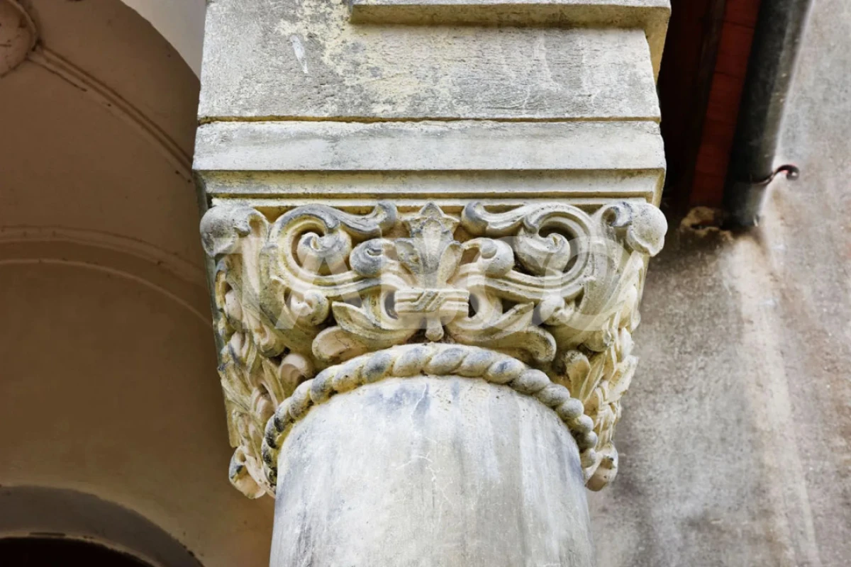 Vila interbelica isi asteapta cu speranta tacuta noul proprietar - 9