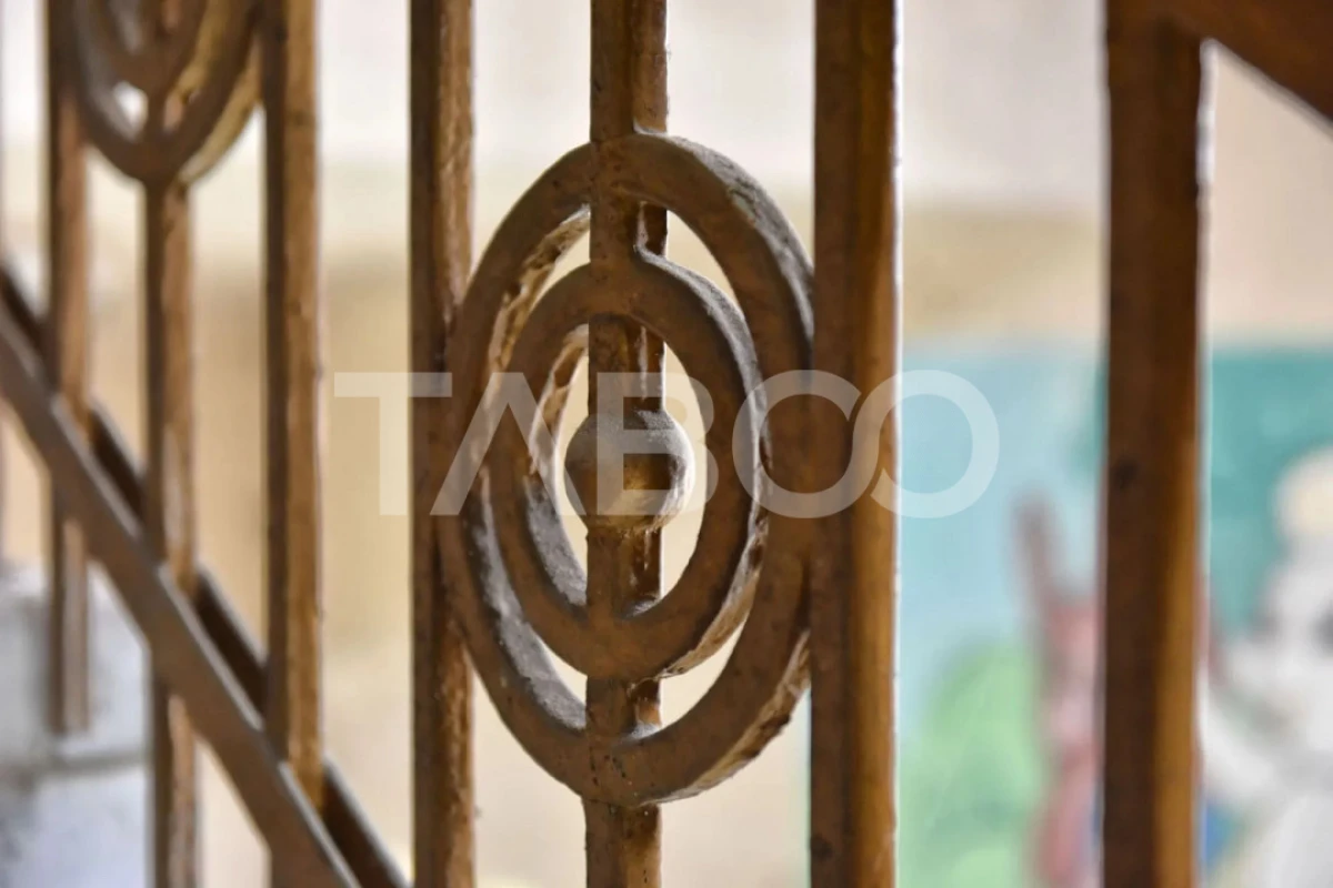 Vila interbelica isi asteapta cu speranta tacuta noul proprietar - 6