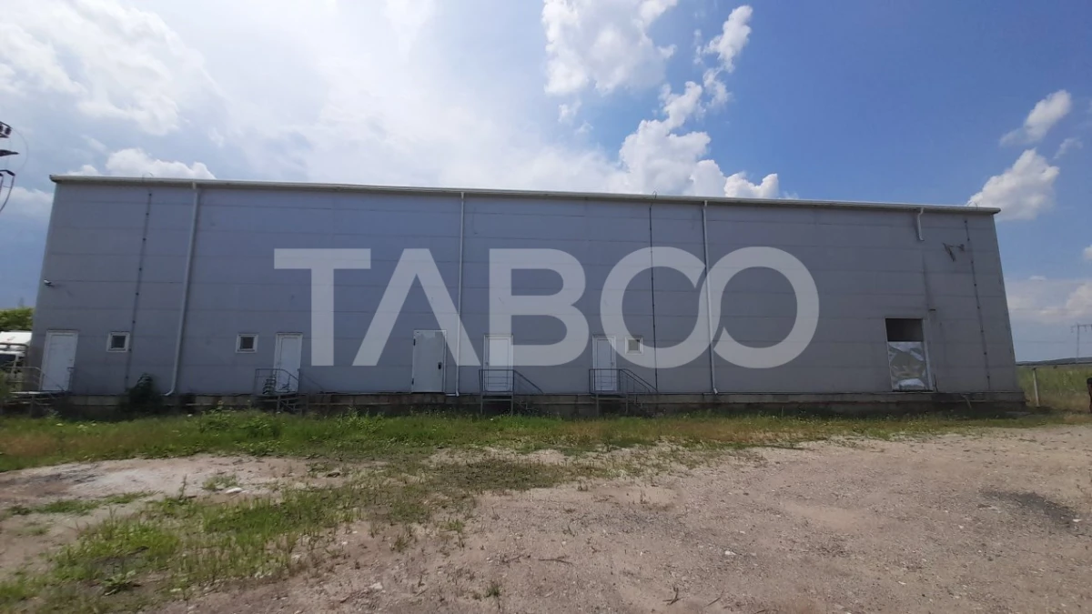 Hala de 1849 mp plus teren de inchiriat in zona Veterani Sibiu - 3