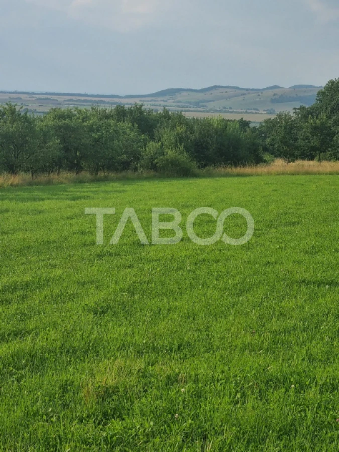 Teren pretabil cabana sau gradina 1670 mp zona deosebita Sibiel - 2