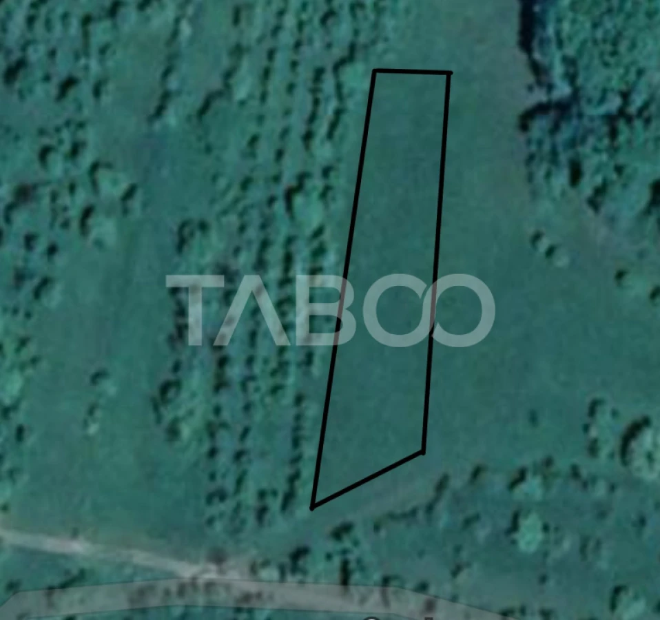 Teren pretabil cabana sau gradina 1670 mp zona deosebita Sibiel - 1