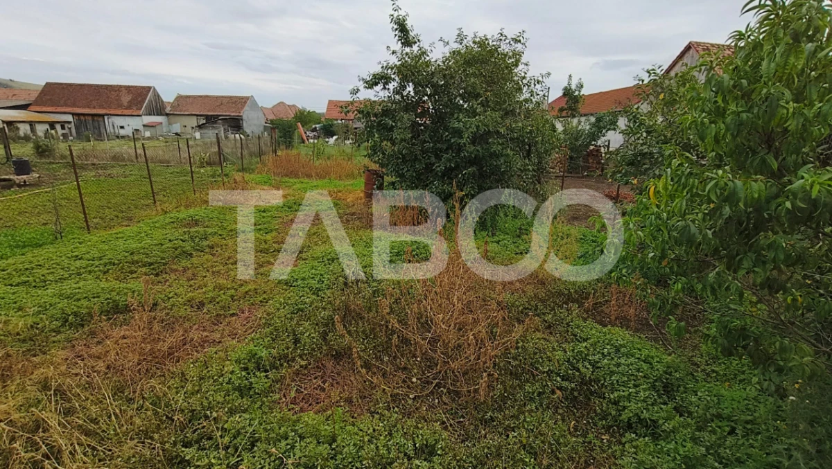 Casa de vanzare cu 4 camere in Drasov judetul Alba - 10