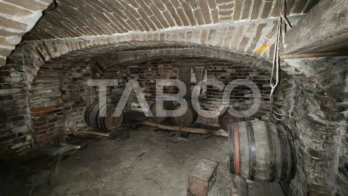 Casa de vanzare cu 4 camere in Drasov judetul Alba - 9