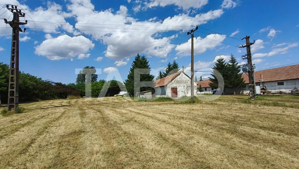 Platforma industriala cu cladiri de vanzare in Salistea de Alba - 9